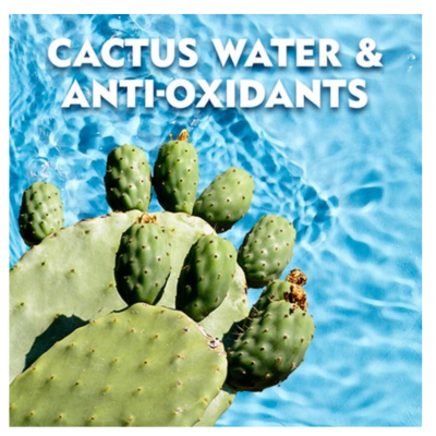 NIVEA MEN Fresh Kick Anti-Transpirant Spray - 48u bescherming - Met cactuswater - Alcoholvrij - 6 x 150 ml