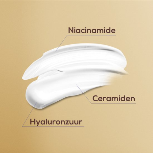 Biodermal Anti Age Serum - Serum voor een stralende huid met mix van huideigen ceramiden en Niacinamide - stimuleert de natuurlijke collageenproductie - 30 ml